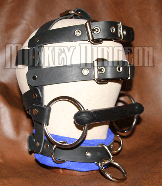head gear restraint leather